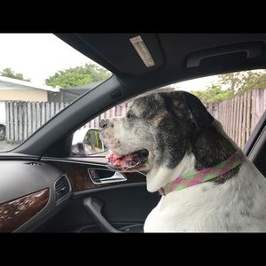 Meet your Posher, Karen